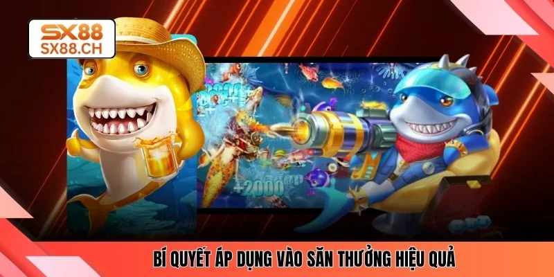 Bí quyết áp dụng vào săn thưởng hiệu quả