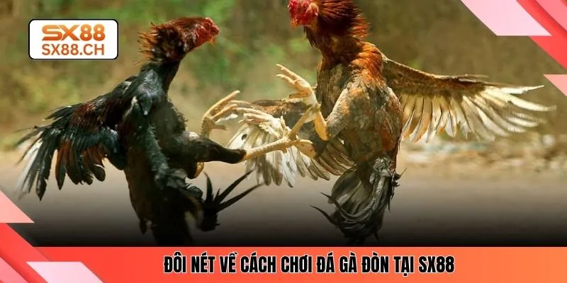 Đôi nét về cách chơi đá gà đòn tại SX88 