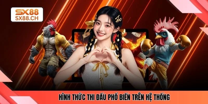 Hình thức thi đấu phổ biến trên hệ thống