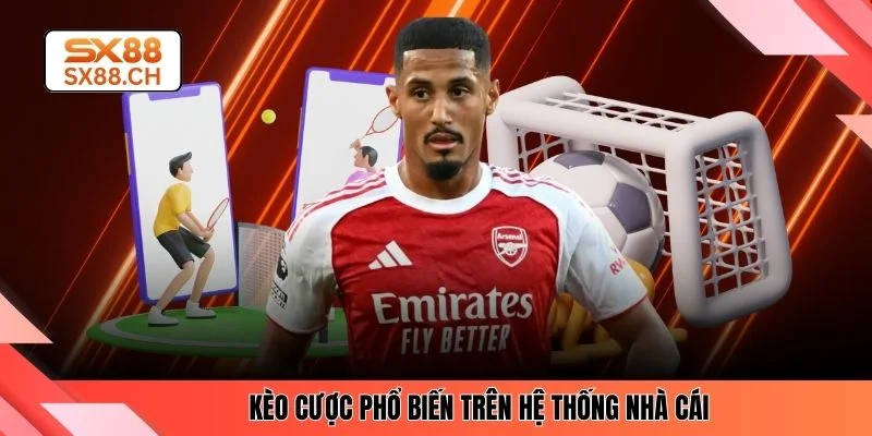 Kèo cược phổ biến trên hệ thống nhà cái