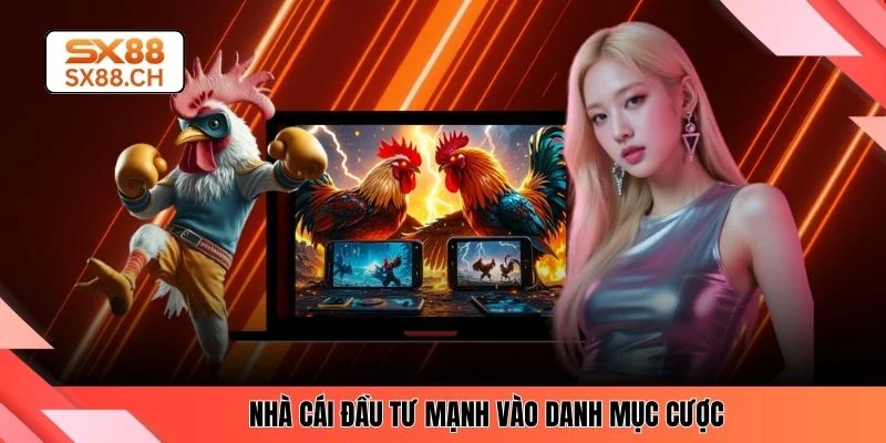 Nhà cái đầu tư mạnh vào danh mục cược