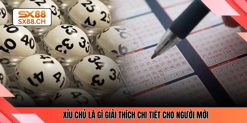 Xỉu chủ là gì giải thích chi tiết cho người mới